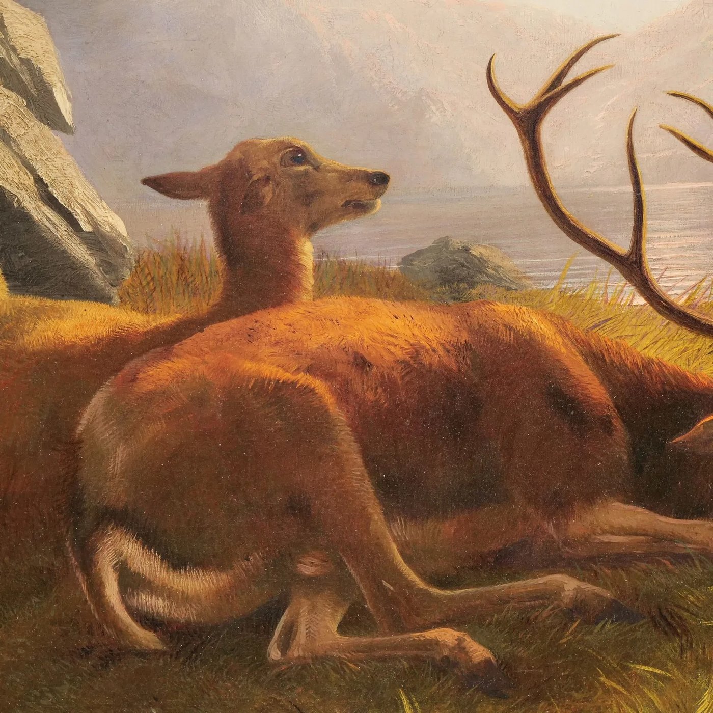Composition detail - the alert doe at center