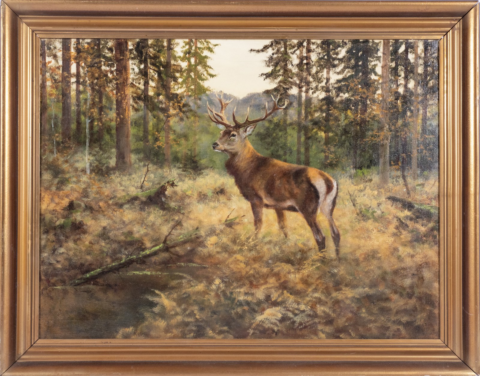 A Stag in a Woodland Clearing by Arthur Fitzwilliam Tait
